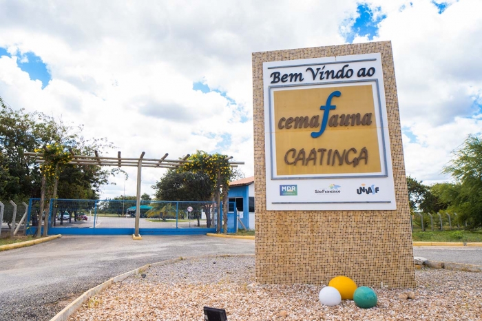 Estudantes de Carnaíba do Sertão visitam o Cemafauna e conhecem animais da Caatinga