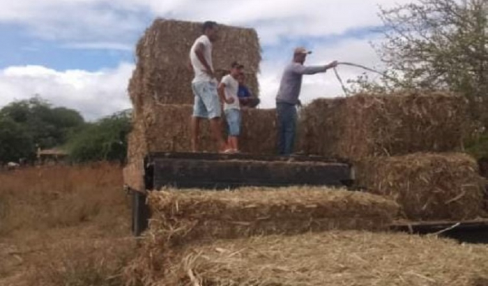 Sento-Sé retoma a distribuição de palhadas para agricultores familiares