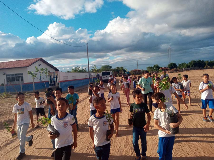 Ações de incentivo à práticas ecológicas movimentam escola no interior de Juazeiro