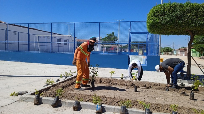 Sento-Sé realiza paisagismo e plantio de mudas em praça do povoado Volta da Serra