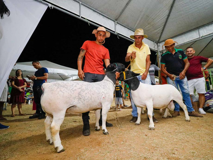 XIV Feira do Bode de Pinhões atrai público e é mais um sucesso para a organização 