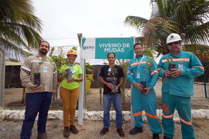 Prefeitura de Juazeiro recebe doação de mais de 1000 mudas de plantas nativas