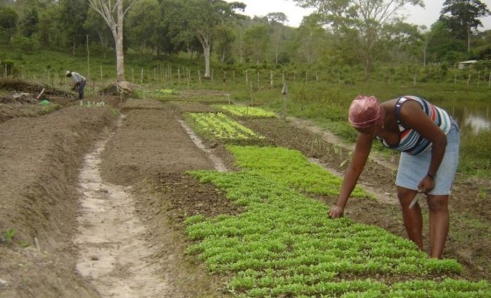 Prefeitura de Juazeiro divulga edital do Incra para seleção de beneficiários para assentamentos em programa de reforma agrária