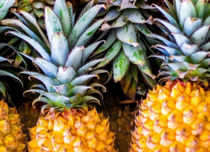 Confira a cotação dos hortifrutigranjeiros comercializados no Mercado do Produtor de Juazeiro 