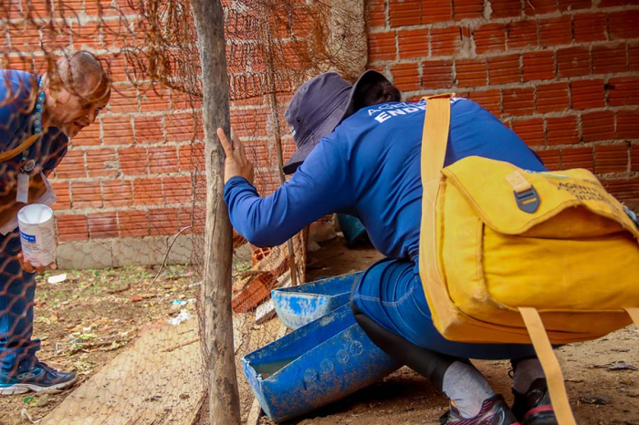 Juazeiro reforça combate contra dengue