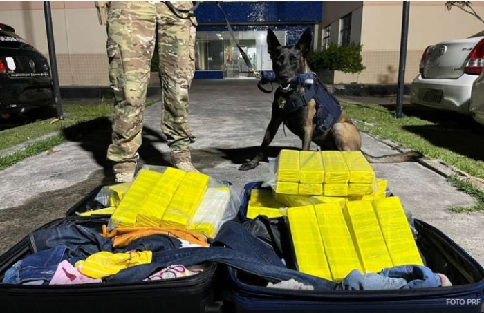 PRF apreende mais de 50 kg de maconha em ônibus que seguia viagem para Garanhuns (PE)